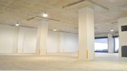 Loyang Industrial Estate (D17), Factory #506508551